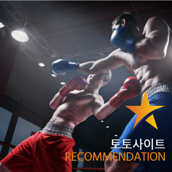 초보자가 안전놀이터 고르는 팁